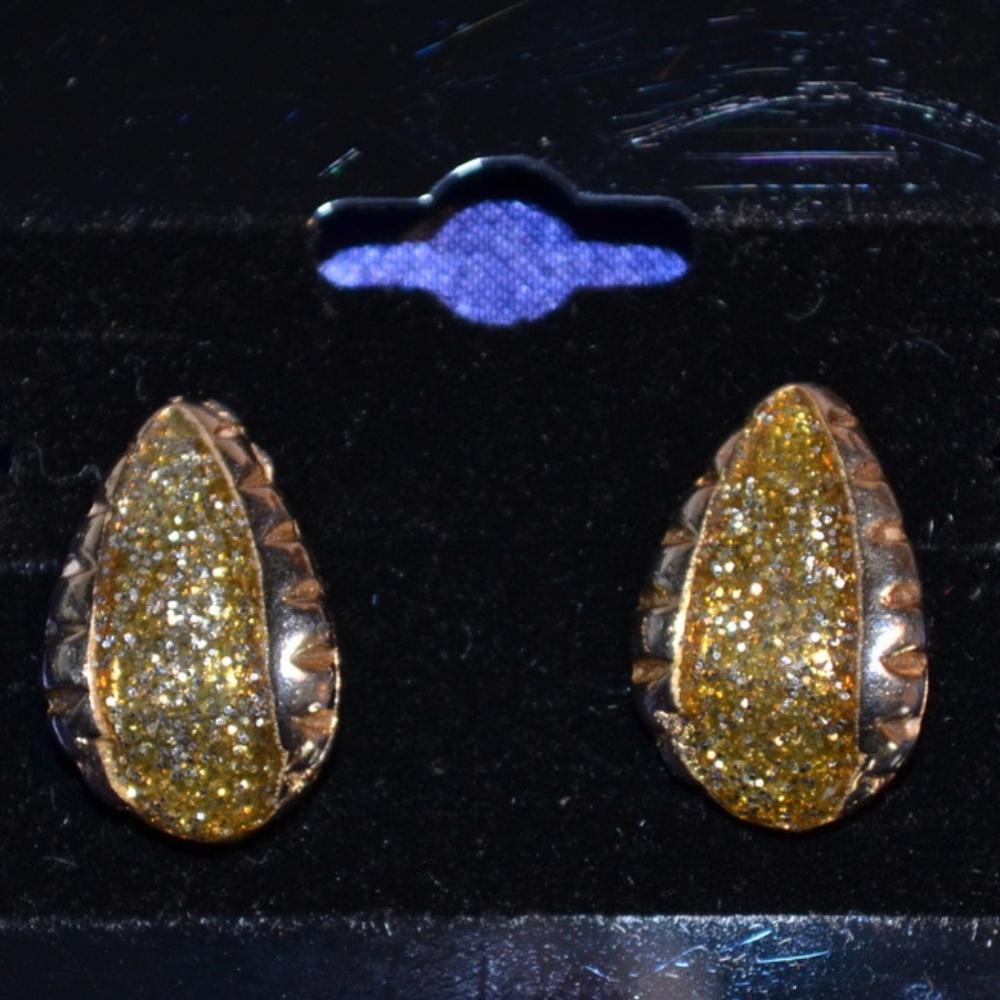 Golden Confetti Lucite Post Earrings